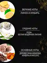 Парфюмированный гель для душа Купание в Лесу Forest Ritual 250 мл