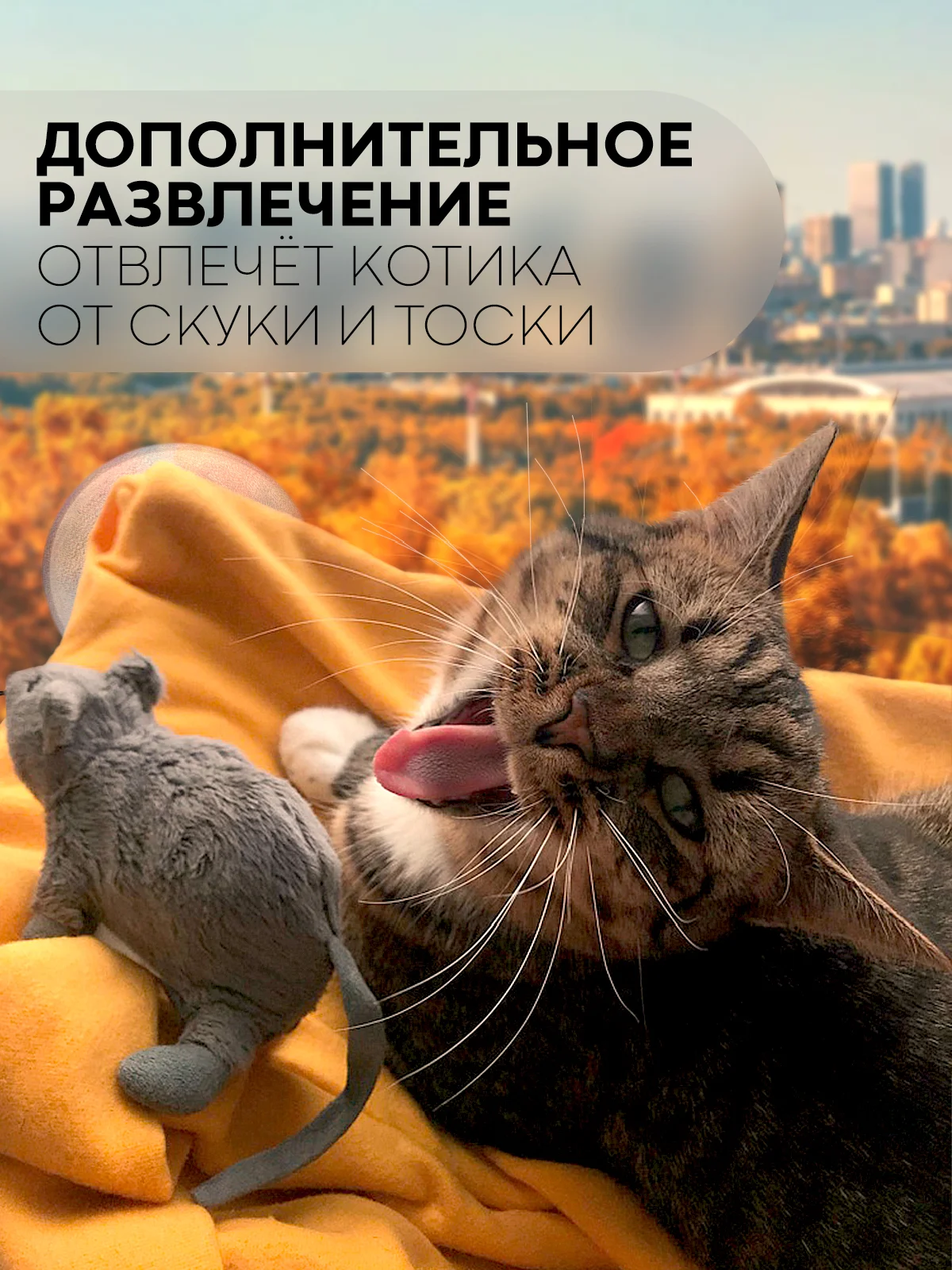 Подвесной гамак-лежанка КАРТОФАН, полка на присосках для котов, кошек, питомцев на окно