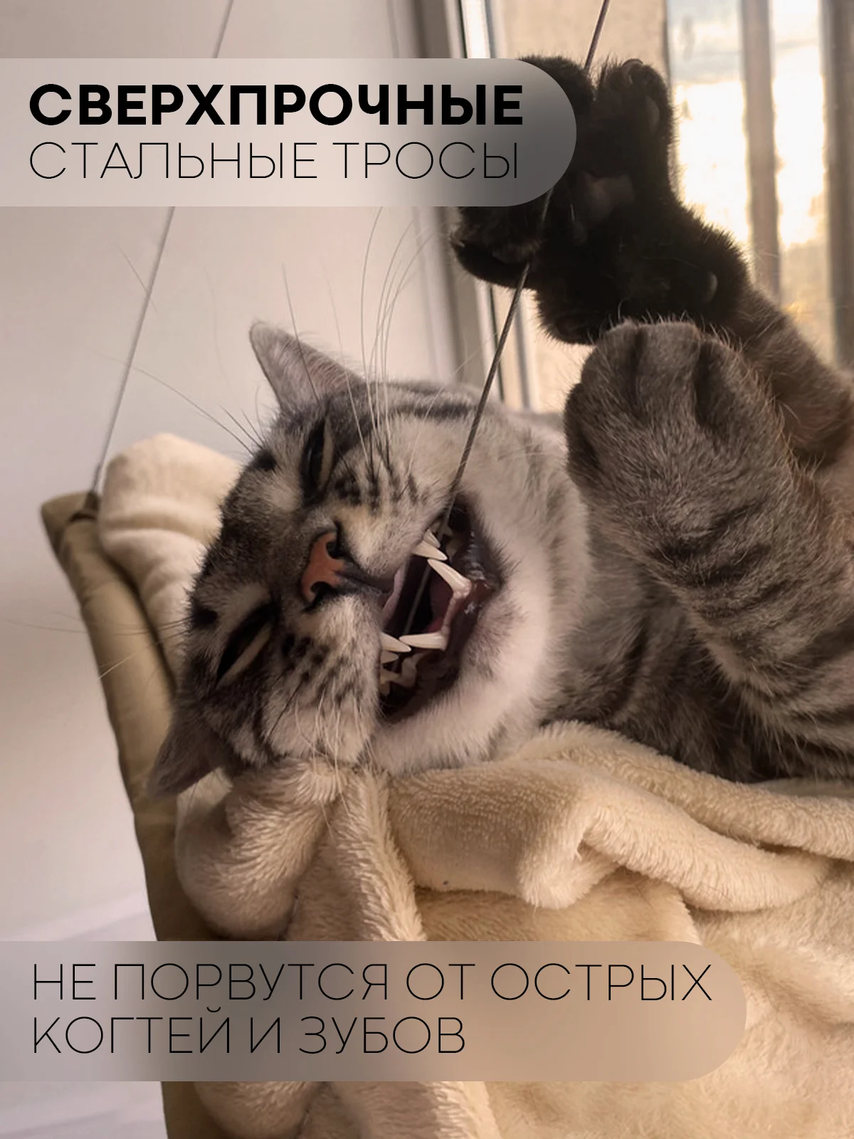 Подвесной гамак-лежанка КАРТОФАН, полка на присосках для котов, кошек, питомцев на окно