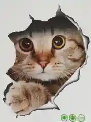 Голубой интерьерная наклейка 3d для дома, для унитаза, ноутбука, на дверь, наклейка на холодильник