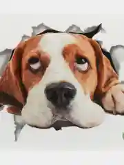 Красный интерьерная наклейка 3d для дома, для унитаза, ноутбука, на дверь, наклейка на холодильник