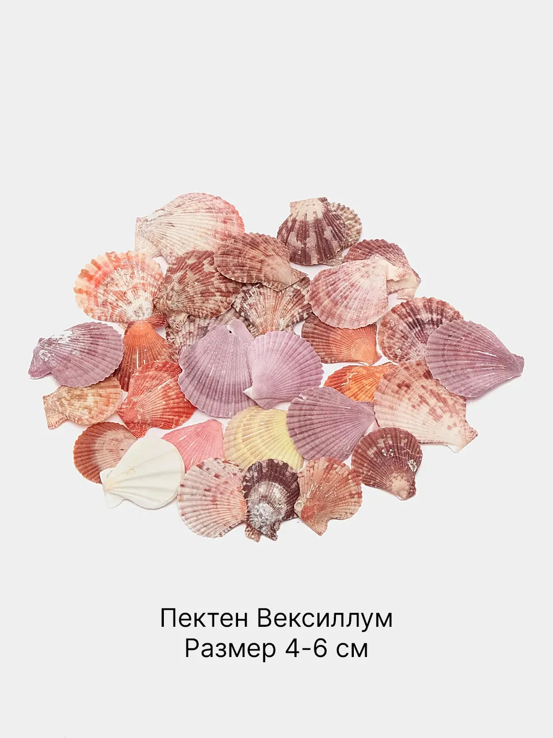 Розовый ракушки натуральные морские и океанические, грунт, наполнитель, декор для аквариума