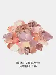 Розовый ракушки натуральные морские и океанические, грунт, наполнитель, декор для аквариума
