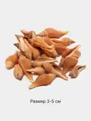 Светло-коричневый ракушки натуральные морские и океанические, грунт, наполнитель, декор для аквариума