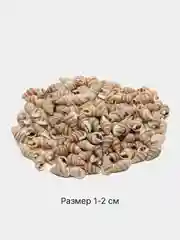 Светло-оранжевый ракушки натуральные морские и океанические, грунт, наполнитель, декор для аквариума
