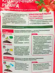 Удобрение комплекс.Клубничный Рекорд 1кг БиоМастер