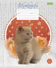 Желтый тетрадь Hatber "Котята", клетка, 12 л