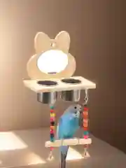 Подвесное зеркало с кормушкой и жердочкой, игрушка для птиц, попугаев в клетку