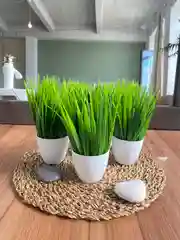 Зеленый искусственные цветы для декора в кашпо