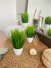 Зеленый искусственные цветы для декора в кашпо