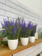 Зеленый искусственные цветы для декора в кашпо