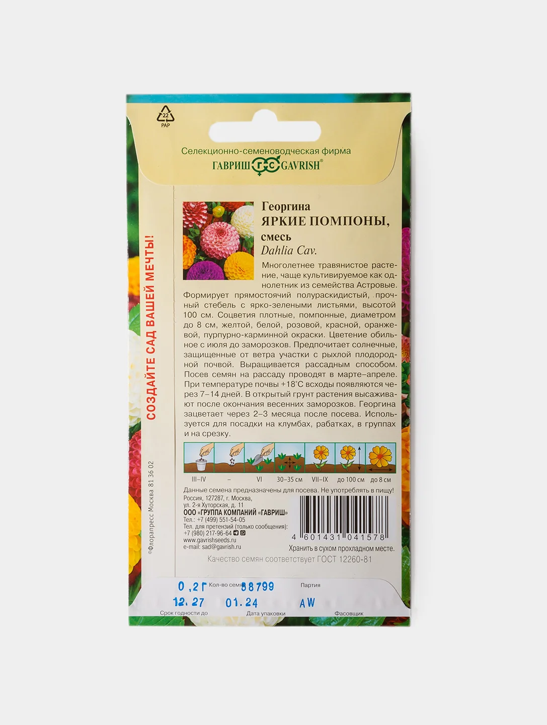 Семена Цветов Георгина Яркие Помпоны