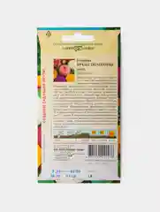 Семена Цветов Георгина Яркие Помпоны