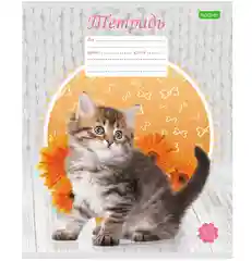 Желтый тетрадь Hatber "Котята", клетка, 12 л