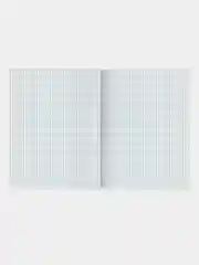 Тетрадь BRAUBERG "PASTEL",  клетка, 24 листа