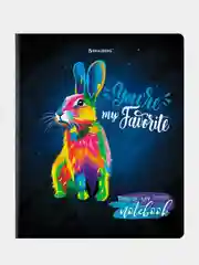 Тетрадь BRAUBERG "Animals Pop-Art", А5, клетка, матовая ламинация, 2 штуки по 48 листов