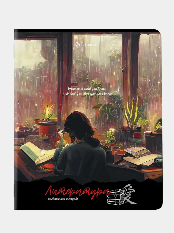 Тетрадь предметная BRAUBERG ANIME GIRLS, по литературе, линия, 48 листов