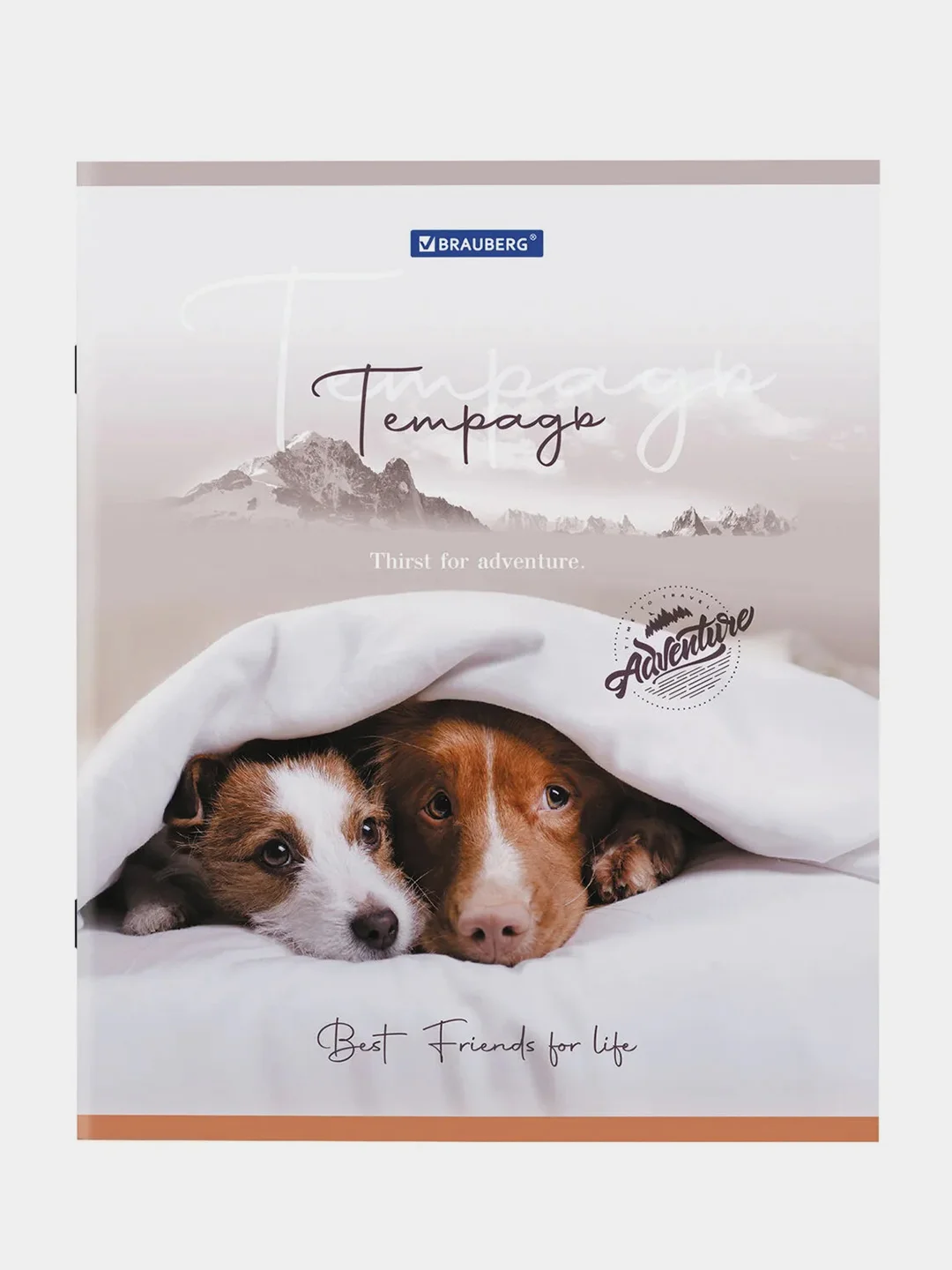 Тетрадь BRAUBERG "Best Friends", А5, скоба, клетка, 2 штуки, 48 листов