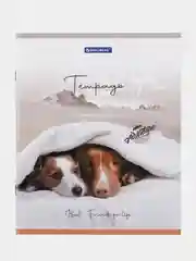 Тетрадь BRAUBERG "Best Friends", А5, скоба, клетка, 2 штуки, 48 листов