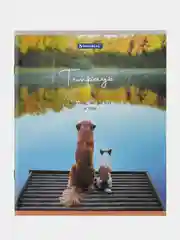Тетрадь BRAUBERG "Best Friends", А5, скоба, клетка, 2 штуки, 48 листов