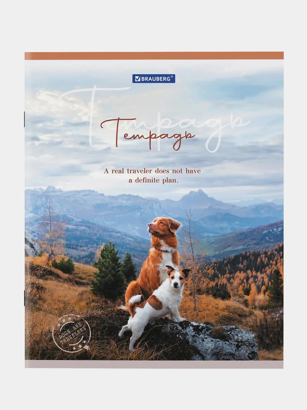 Тетрадь BRAUBERG "Best Friends", А5, скоба, клетка, 2 штуки, 48 листов