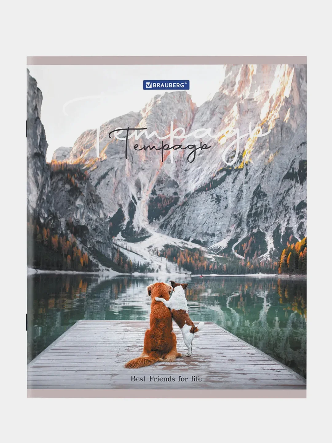 Тетрадь BRAUBERG "Best Friends", А5, скоба, клетка, 2 штуки, 48 листов