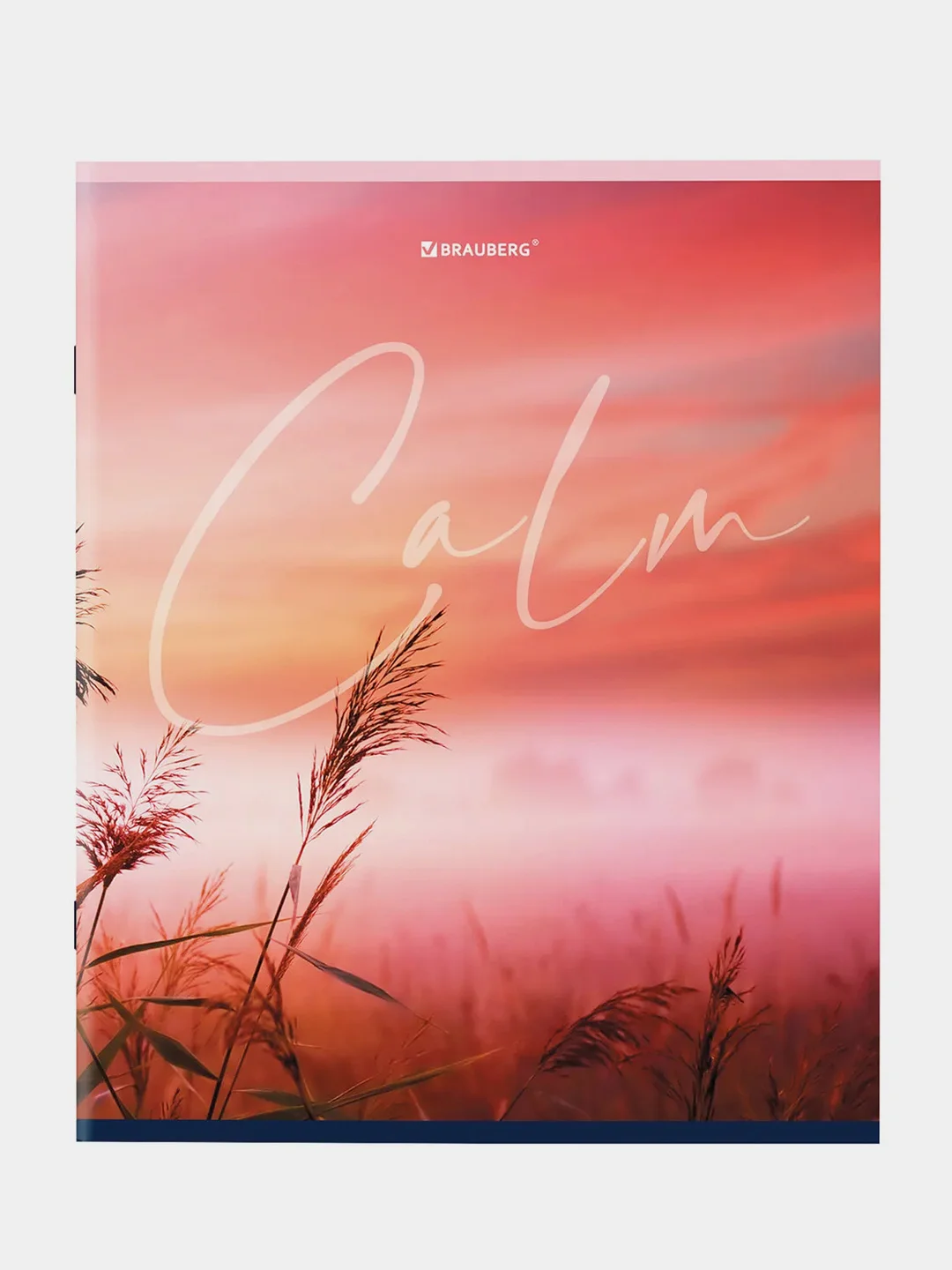 Тетрадь BRAUBERG "Calm", А5, скоба, клетка, 96 листов