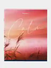 Тетрадь BRAUBERG "Calm", А5, скоба, клетка, 96 листов