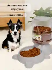 Автоматическая кормушка