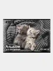 Альбом для рисования BRAUBERG "Питомцы", А4, 24 листа