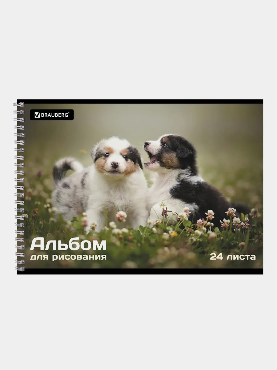 Альбом для рисования BRAUBERG "Питомцы", А4, 24 листа