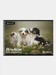Альбом для рисования BRAUBERG "Питомцы", А4, 24 листа