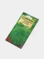 Семена Кохия Летний Кипарис