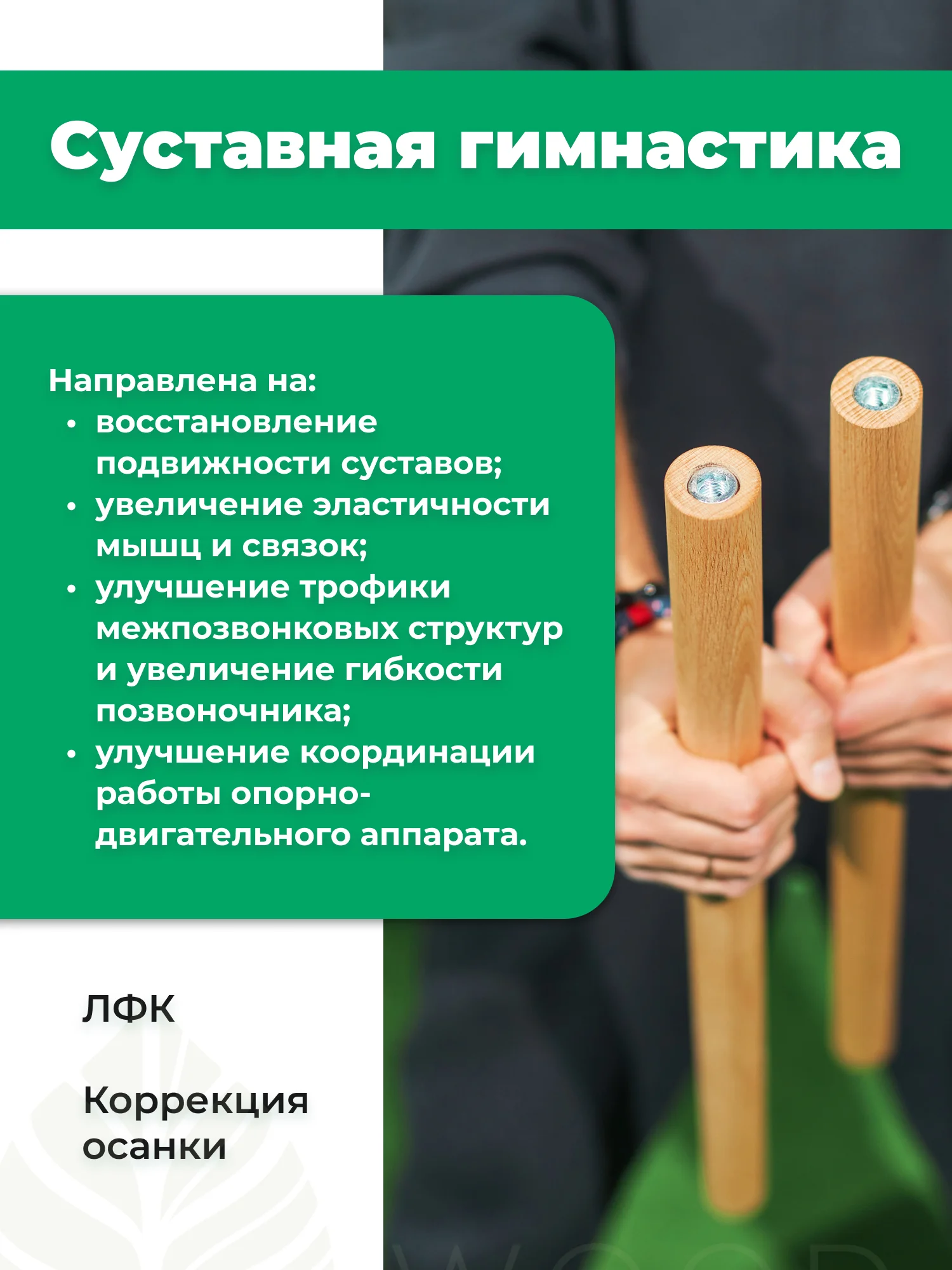 Гимнастическая палка Backwood 140см (посох), бодибар складной