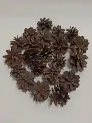 Коричневый шишки сосновые