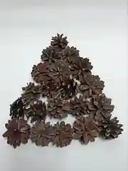 Коричневый шишки сосновые