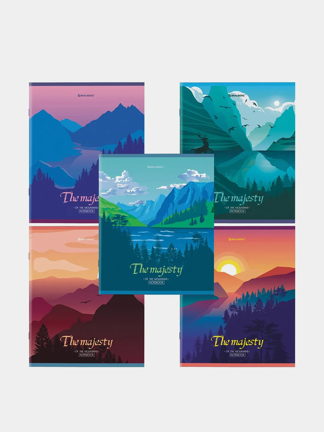 Тетрадь BRAUBERG "Majesty", А5, скоба, клетка, 2 штуки, 48 листов