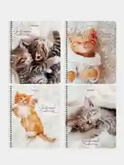 Тетрадь BRAUBERG "Котики", А5, гребень, клетка, 96 листов