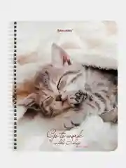 Тетрадь BRAUBERG "Котики", А5, гребень, клетка, 96 листов