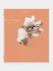 Тетрадь BRAUBERG "Собачки", линия, 10 штук