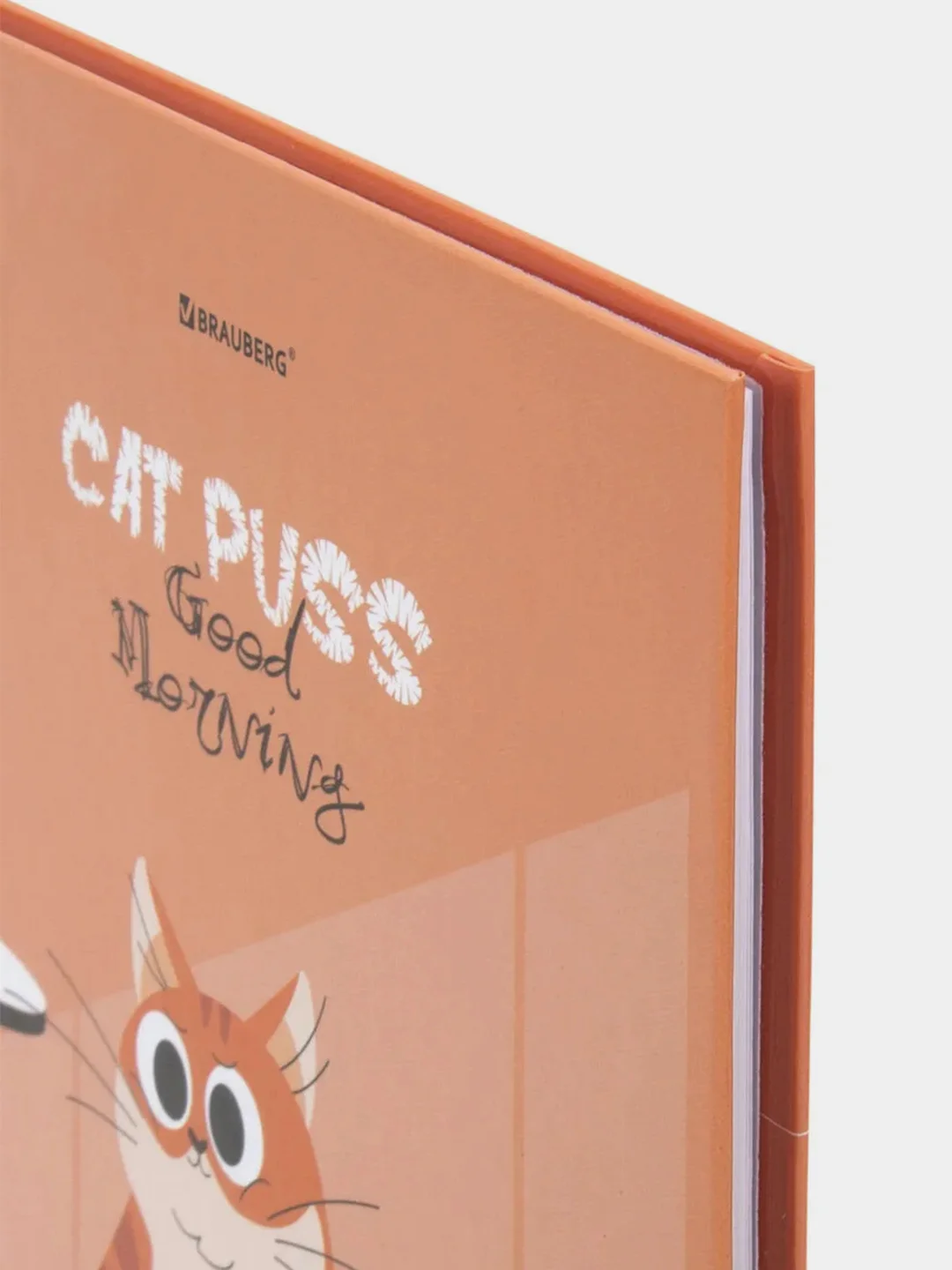Дневник 1-11 класс BRAUBERG "Cute cat", твердый, глянцевая ламинация, 40 листов