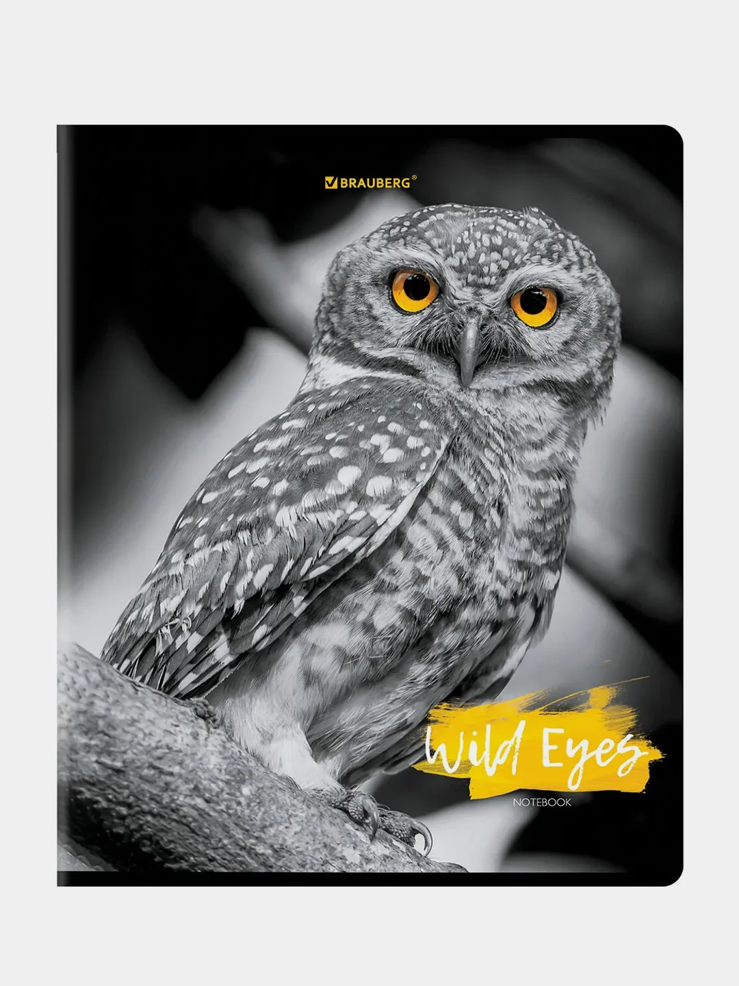 Тетрадь BRAUBERG "Wild eyes", скоба, клетка, А5, 48 листов, комплект 2 штуки
