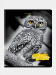 Тетрадь BRAUBERG "Wild eyes", скоба, клетка, А5, 48 листов, комплект 2 штуки