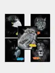Тетрадь BRAUBERG "Wild eyes", скоба, клетка, А5, 48 листов, комплект 2 штуки