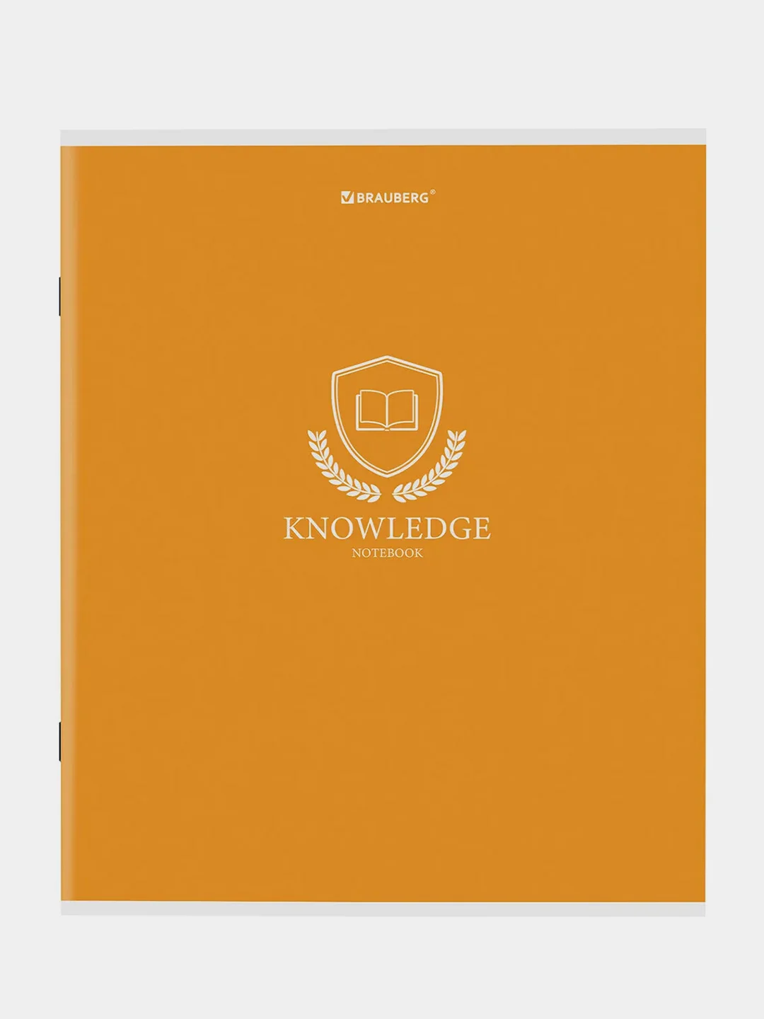 Тетрадь BRAUBERG "Knowledge", А5, 80 листов, скоба, клетка