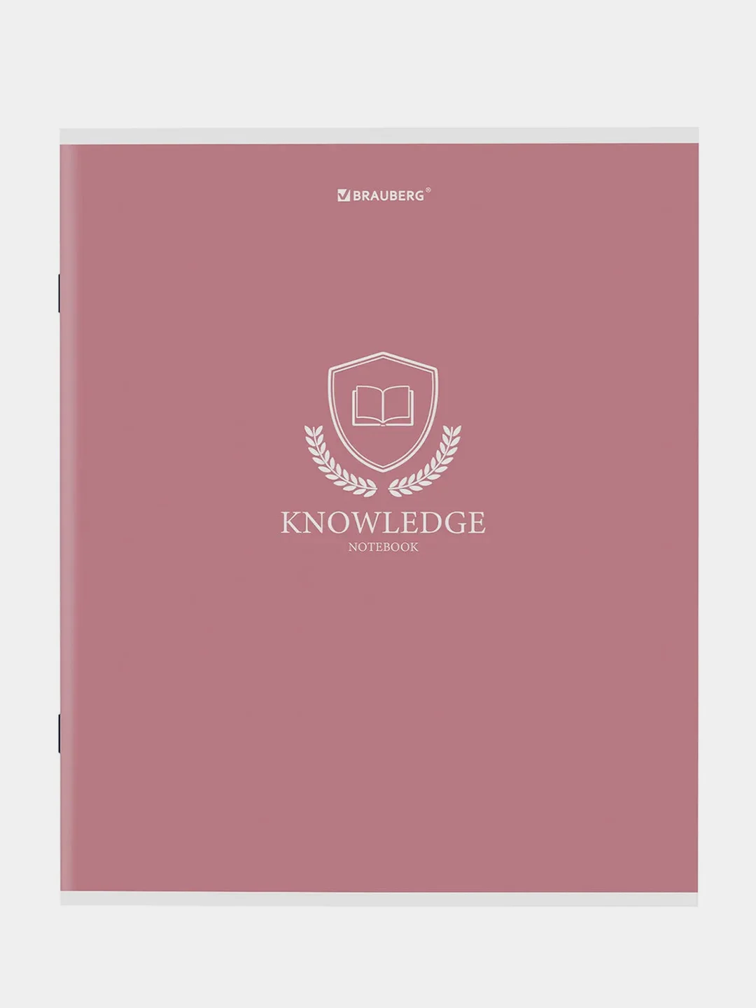 Тетрадь BRAUBERG "Knowledge", А5, 80 листов, скоба, клетка