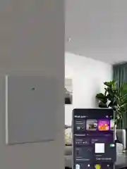 Серый умный выключатель, с Алисой и Марусей, сенсорный, с Wi-Fi, серый