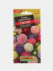 Астра низкорослая Гном, смесь сортов