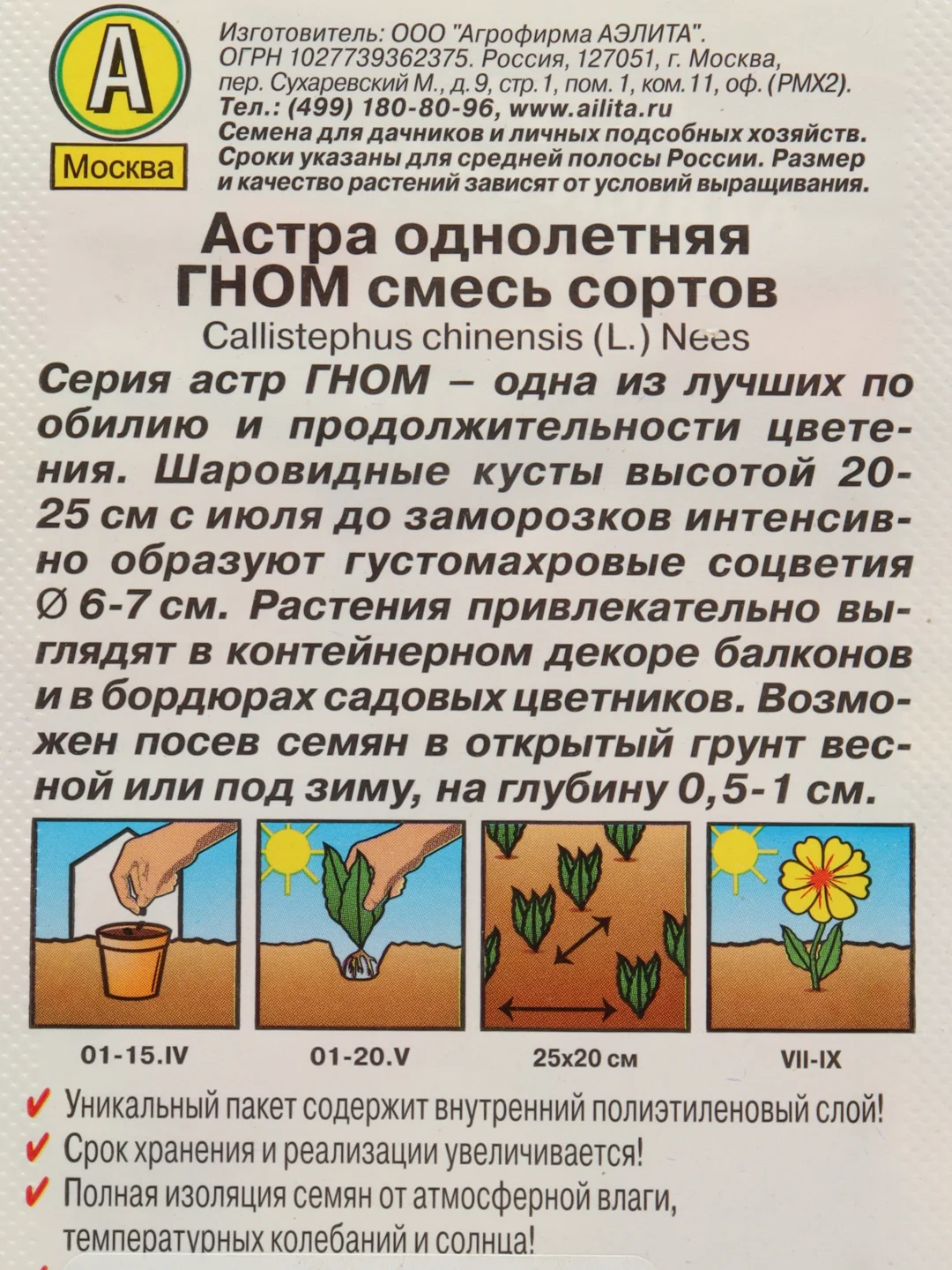 Астра низкорослая Гном, смесь сортов