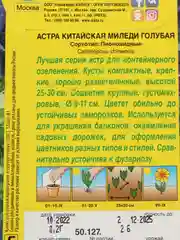Астра китайская Миледи голубая, семена